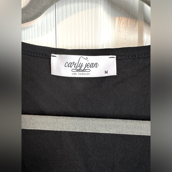 Carly Jean Los Angeles “Blaine” long sleeved babydoll dress, black, size medium - Picture 3 of 4